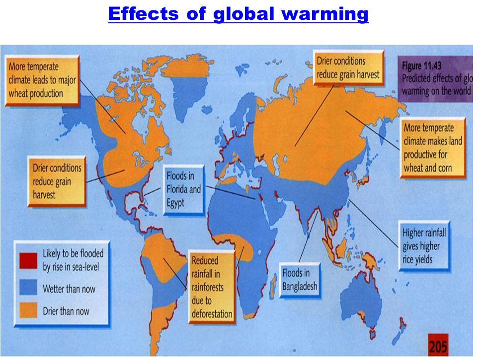 Global Warming Impacts